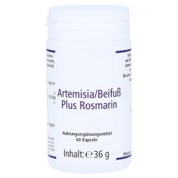 Артемизинин 392 мг капс. 60шт в Туле и области фото