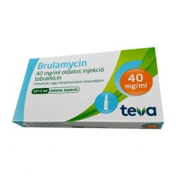 Бруламицин раствор для инъекций 40мг/мл 2мл! (80мг) ампулы №10 в Туле и области фото