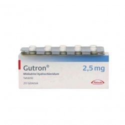 Гутрон таблетки 2,5 мг. №20 в Туле и области фото